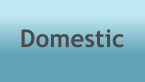 Domestic